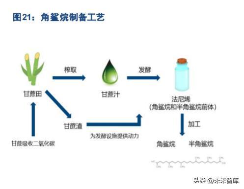 从研发与核心成分出发 生物技术驱动国货美妆的星辰大海