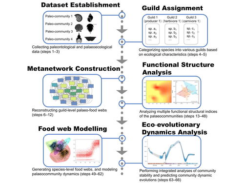 科学研究，技术先行——我校研究团队创新研发生态模拟方法体系