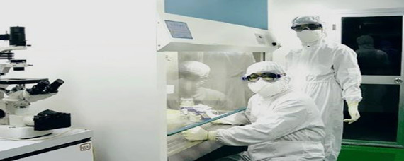 生物安全在生物技术研究与开发中的核心内容