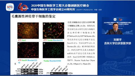 2020中国生物医学工程大会暨创新医疗峰会 干细胞工程技术分会论坛——生物技术研究与开发